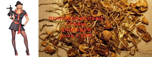 прущая мука Протвино