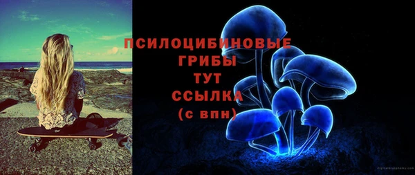дмт Абинск