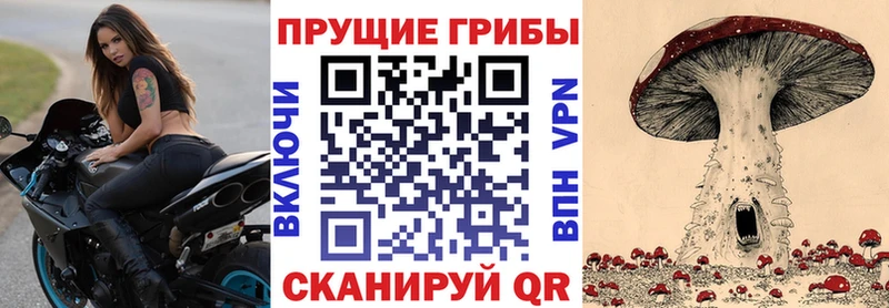 Псилоцибиновые грибы мицелий  как найти закладки  Шилка 